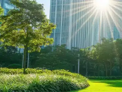 A vibrant city park with lush green grass and tall trees, bathed in bright sunlight. Skyscrapers rise in the background, and sun rays peek through the buildings, creating a serene, urban-nature contrast.