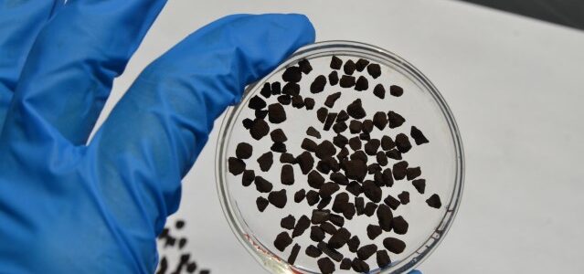 A hand in a blue glove holds a petri dish containing small black granules over a white surface. Some granules are scattered on the surface beneath.