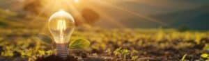 A light bulb with small leaves at its base is planted in soil, symbolizing innovation and growth. It's illuminated by sunlight in the background, suggesting a connection between nature and sustainable energy.