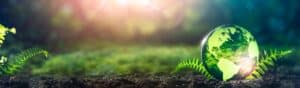 A small green glass globe with the Americas visible rests on soil, surrounded by green fern leaves. Sunlight filters through a blurred, verdant background, creating a serene and eco-friendly atmosphere.