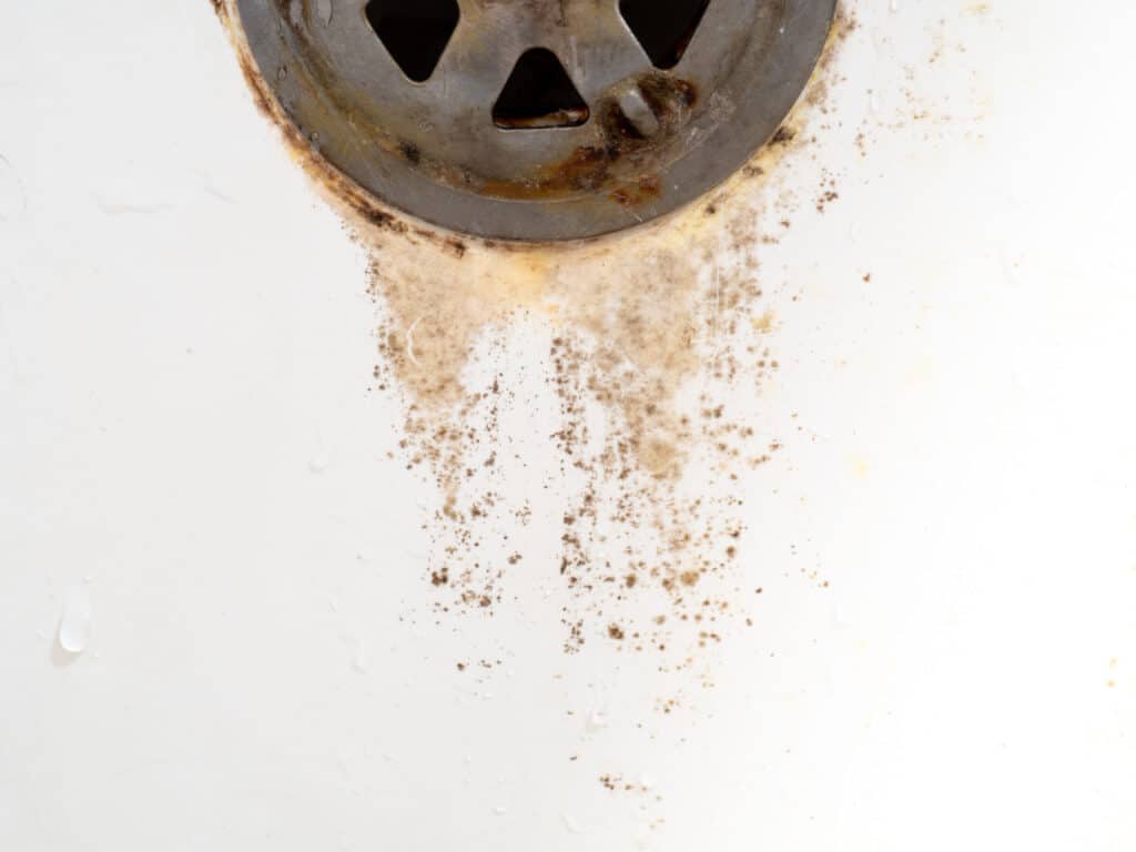 A rusty drain with mold and mildew stains on a white surface. The area around the drain appears stained and dirty, with water droplets visible nearby.