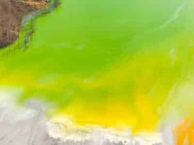 Aerial view of a vibrant, multicolored lake surrounded by barren trees. The water displays shades of green, yellow, and orange, blending together in a striking pattern. The shoreline is varied, with earthy tones and sparse vegetation.