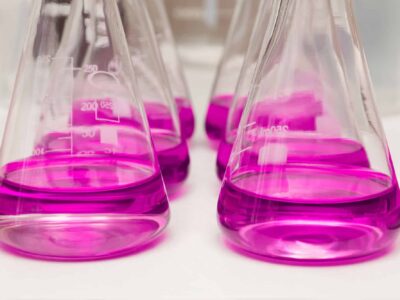 Several Erlenmeyer flasks filled with a bright pink liquid are arranged on a white surface. The flasks are transparent, allowing the liquid's hue to stand out vividly. Measurement markings are visible on the side of one of the flasks.