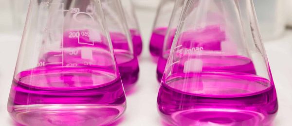 Flasks with liquid colored pink. Chemical analysis, organic test of water in the laboratory